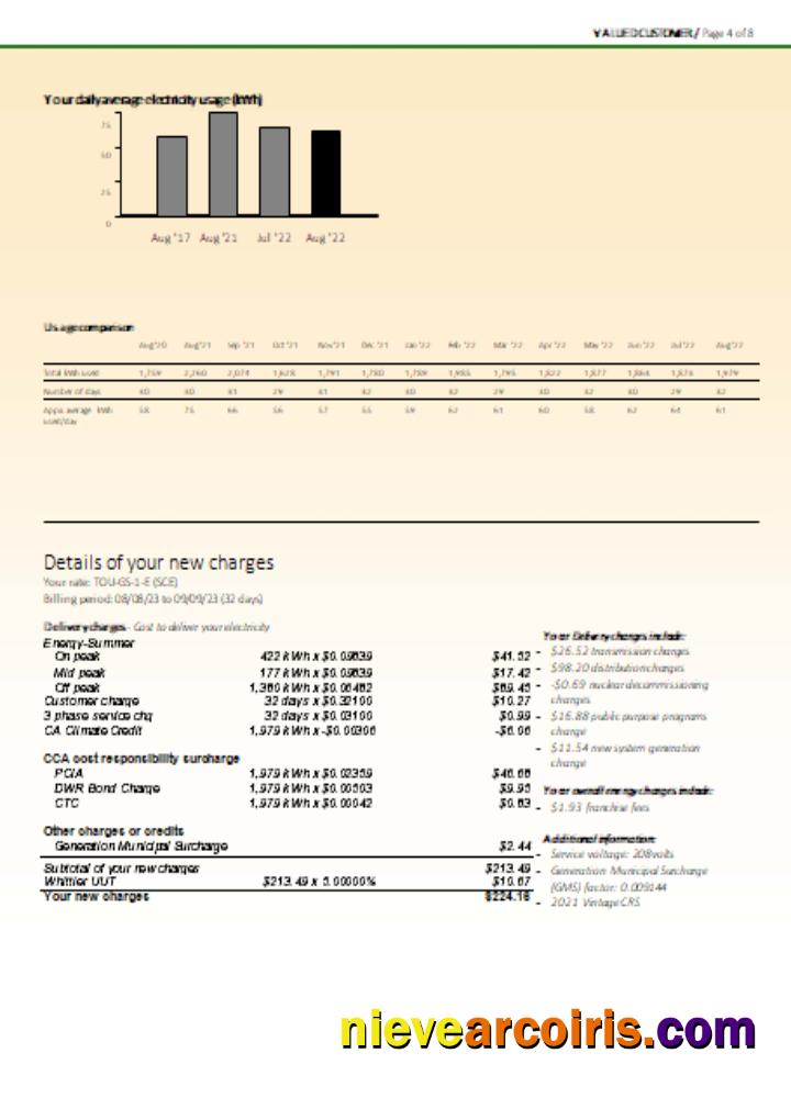 Southern California EDISON utility business bill, page 4